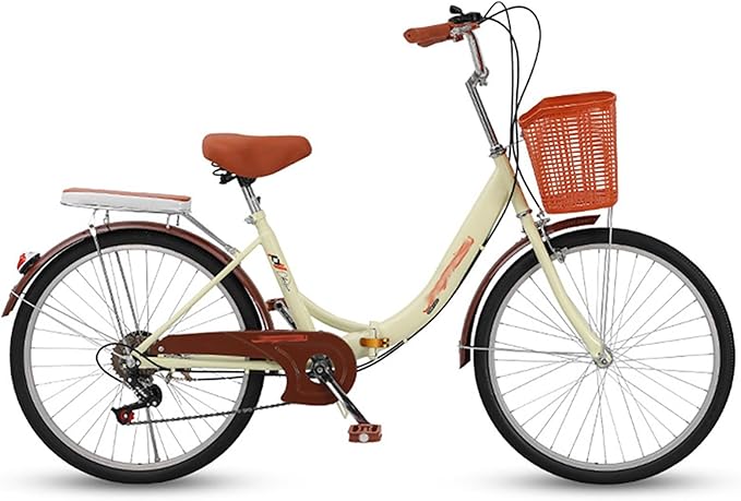 bicicleta paseo plegable